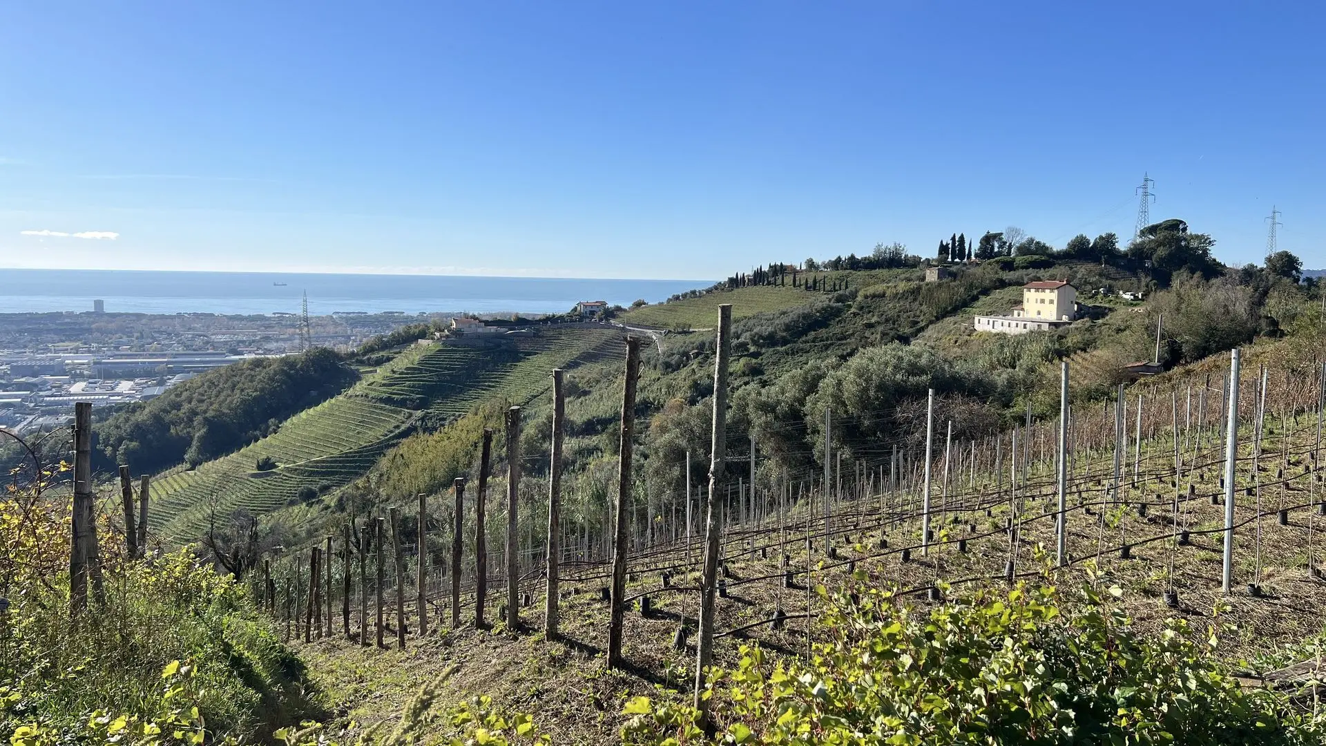 Colli del Candia