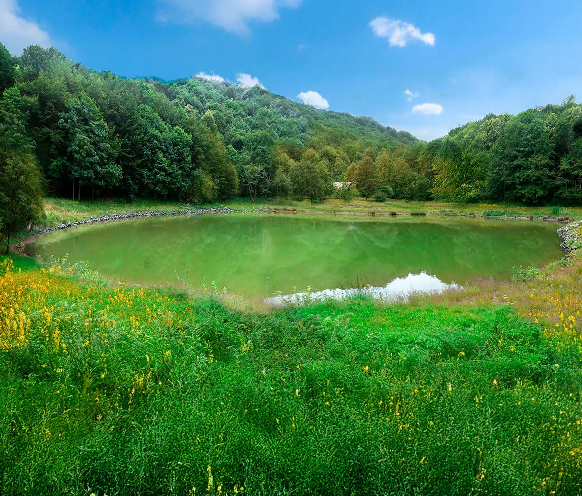 Lago Verde